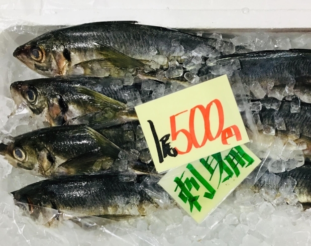 「魚魚市場鮮魚コーナーおすすめは「金目鯛・ノドグロ」です♪」