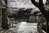 墨染寺