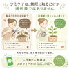 シミケア　NEWTON「「シミケアは、無理に取るだけが選択肢ではありません。」　整体室BODYCAREろはす　江南市　扶桑町　大口町　犬山市　岩倉市」