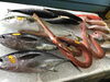 「魚魚市場鮮魚コーナーおすすめは「コシナガマグロ」です♪」
