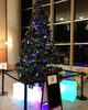 「巨大クリスマスツリーとイルミネーション！（株）プレステージ•インターナショナル新潟BPO魚沼テラスさんで自由に見学、撮影できます！」