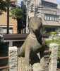 愛嬌のある狛オオカミ その２「船橋のイイトコ ≪道祖神社≫ の狛オオカミ🐺🐺」