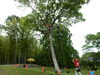 木登り成功！「ツリークライミング　in  山田池公園」