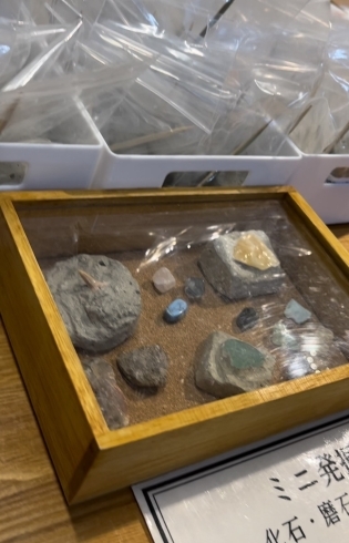 「【沼田町】化石ミニ発掘体験しました」