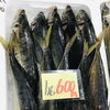 「魚魚市場鮮魚コーナーおすすめは「ノドグロ・あゆ」です♪」