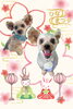 「Dog salon mofu mofu　余市町」