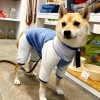 「寒暖差から愛犬を守る、ローパースタイプの犬服です。」