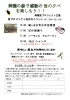 「【船橋】第10回「御瀧の森 蛍の夕べ」開催！金蔵寺の自然が育むホタルの光に包まれて」