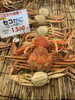 茹でセコがに🦀発送出来ます！「【全国発送対応】京丹後の冬の味覚「松葉ガニ」！活蟹と茹で蟹、どちらもお任せください」
