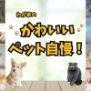 一覧
