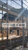 確かな技術で造る「庄原市東城町・K様邸 平屋の上棟｜大工たちの息の合った手仕事」