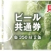 ビール504　缶