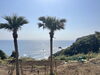 日南市大島「地鎮祭🌿大島プロジェクト」