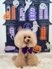 ぱにちゃん「Happy Halloween 2026🎃」