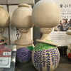 東京こけしも豊富にあります。創作こけしもあります。「佐久間製菓 八王子キャンディ 八王子はちみつのど飴  まだあります。八王子市PayPay25％キャンペーン 適用 塊根 アガベ 多肉 ユーフォルビア サボテン レアな植物を購入するチャンス！シクラメンも。八王子の物を取り揃えています！クリ 」