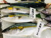 「魚魚市場鮮魚コーナーおすすめは「ヒラメ・イシダイ」です♪」