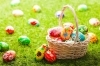 「春のシーガイアはときめきいっぱい♪ FLOWER LIVING ＆ EASTER🌷」