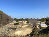 パットパットゴルフもできます！「桜井総合公園」
