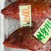 「魚魚市場鮮魚コーナーおすすめは「ゴマサバ」です♪」