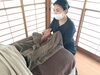 「自然で素敵な写真が残せるイベント！11月19日は魚沼市堀之内のsi-taさんへ」