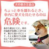 ちょっとだけ、、が取り返しのつかない事に！「車内へちょっとだけおいておく」