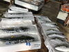 「魚魚市場鮮魚コーナーおすすめ商品は「伊勢エビ・なまこ」です♪」