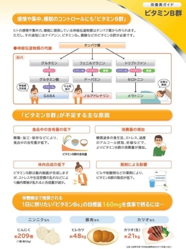 ビタミンＢ群を詳しく調べよう！楽しいですよ。「さて質問です。「脳の機能をアップさせる」栄養素は一体何でしょうか…？」