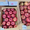 「農産物直売所『信州産りんご』贈答用箱 入荷しました！」