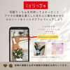 「【泉佐野市、貝塚市、熊取町、日根野】でお住まいの方で発表会のフラワーアレンジメントを贈りたい方楽屋花のフラワーアレンジメントを贈りたい方にオススメの花屋りっちゅ情報」