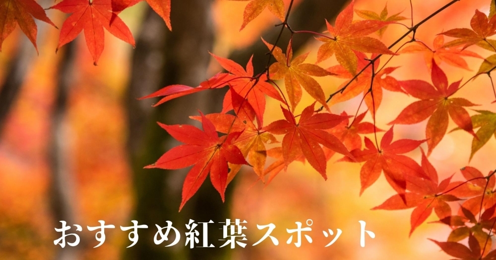 北上 一関 奥州のおすすめ 紅葉スポット まいぷれ 花巻 北上 一関 奥州 北上 一関 奥州のおすすめ 紅葉スポット まいぷれ 花巻 北上 一関 奥州