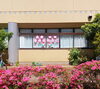 新学期らしいですね。ご入学おめでとうございます！「遅くなったお花見」