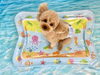 りくくん「波とわんこ🌊」