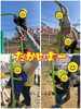 「かくれんぼ遊び  【交野市 小規模保育園】」