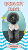 「Dog salon mofu mofu　余市町」
