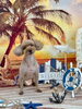 リリちゃん「サンセットビーチ🏖️」