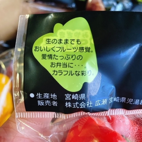 「『生』でも食べられます！ 宮崎県産「小型カラーピーマン」が入荷していますよ～♪♪」