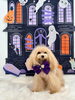 おとめちゃん「Happy Halloween 2026🎃」