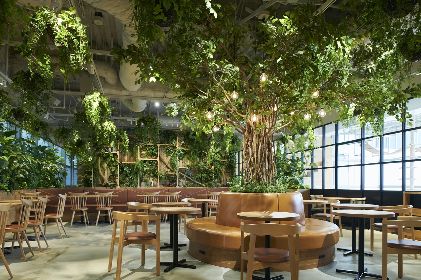 カワスイ川崎水族館にオープン 森の中みたいな こもれびカフェ ソラネコカフェも隣接 後編 編集部のつぶやき 川崎 まいぷれ 川崎市 カワスイ川崎水族館にオープン 森の中みたいな こもれびカフェ ソラネコカフェも隣接 後編 編集部のつぶやき 川崎 まいぷれ 川崎市