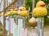「本日の境内の様子です」