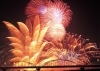 迫力満点の夏の夜空 第123回 水郷おみがわ花火大会 夜空を彩る水郷花火大会 利根川 霞ヶ浦 なめがた日和 行方市 迫力満点の夏の夜空 第123回 水郷おみがわ花火大会 夜空を彩る水郷花火大会 利根川 霞ヶ浦 なめがた日和 行方市