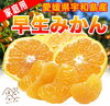 「11/27(金)愛媛新聞 ☆折込チラシに登場☆」