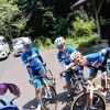 団子石峠に登りましたが、　暑さの所為かハイカーの方もいなくて、少し寂しい感じでした