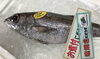 「魚魚市場鮮魚コーナーおすすめは「佐々産タイラギ・サヨリ」です♪」