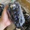 「サマーブラックもー入荷してます🍇」
