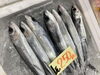 「魚魚市場鮮魚コーナーおすすめは「大鯛」です♪」