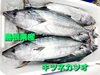 「○本日のお刺身○【島根県産】黄カナ、キツネカツオ」