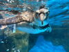 のとじま水族館「日本海側最大規模の水族館のとじま水族館を訪問/水槽レンタルとメンテナンスのアクアデザインブルース/震災復興/」