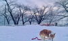 「Sunday, 22nd December 2024.」