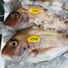 「魚魚市場鮮魚コーナーおすすめは「エビスダイ・マテ貝」です♪」