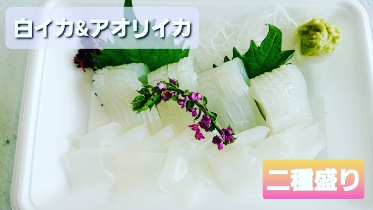 本日のお刺身 定置もん 島根県産イサキ 白イカ アオリイカ 寺津屋 仕出し 会席料理のニュース まいぷれ 松江 本日のお刺身 定置もん 島根県産イサキ 白イカ アオリイカ 寺津屋 仕出し 会席料理のニュース まいぷれ 松江